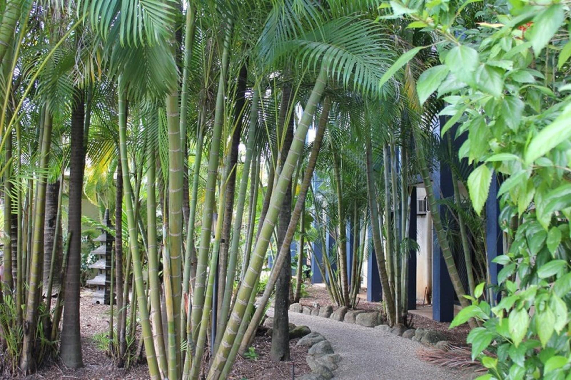 Bohemia Resort Cairns Exteriör bild