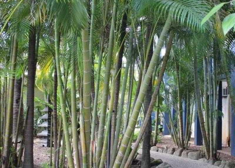 Bohemia Resort Cairns Exteriör bild